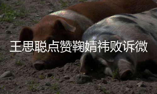 王思微博败诉她赞鞠婧祎经不 已一次聪点是第