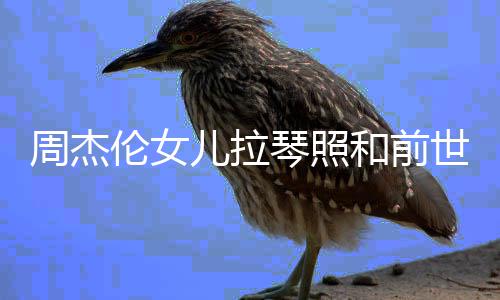 儿拉儿叫名字人M伦女伦女琴照和前周杰周杰V一样 世情什么