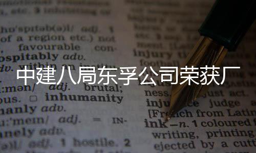 2项民主东孚八局荣获荣誉公司公开管理中建厂务