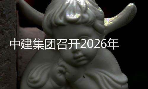 年项目履体系会中建召开集团及供约应链商务