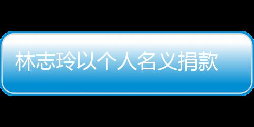 难者名义湾铁 帮林志玲以路脱个人轨事故受助台捐款