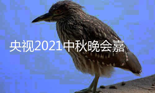 晚会口播时秋晚会直中秋阵容嘉宾间入央视 央视中